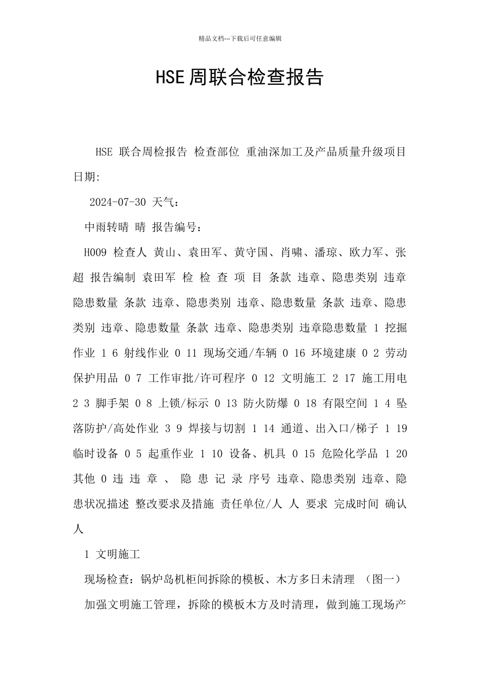 HSE周联合检查报告_第1页