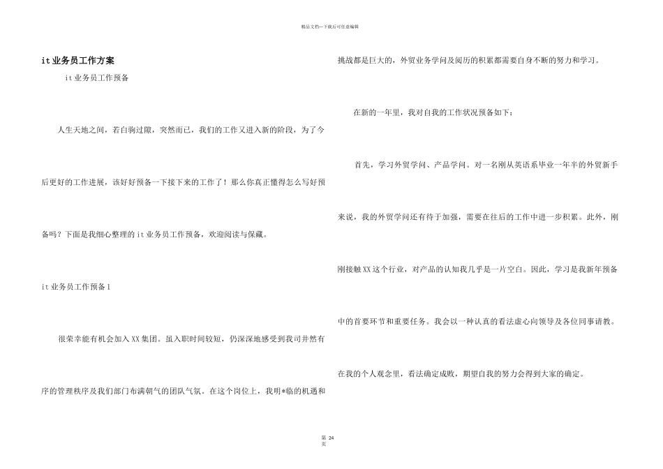 it业务员工作计划_第1页