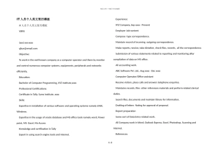 IT人员个人英文简历模板