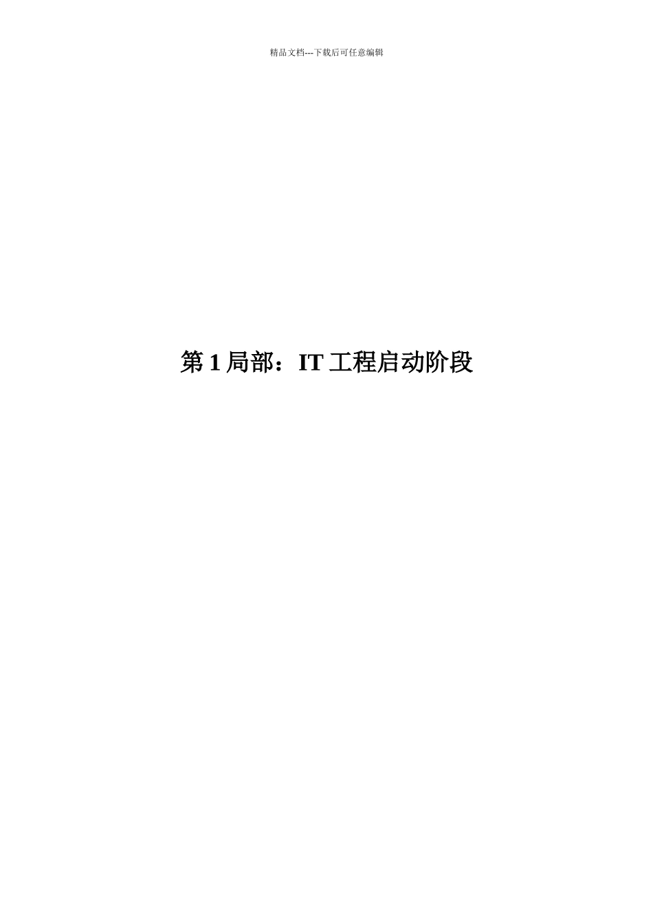 IT项目管理文档模板_第2页