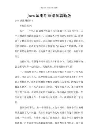 java试用期总结多篇新版
