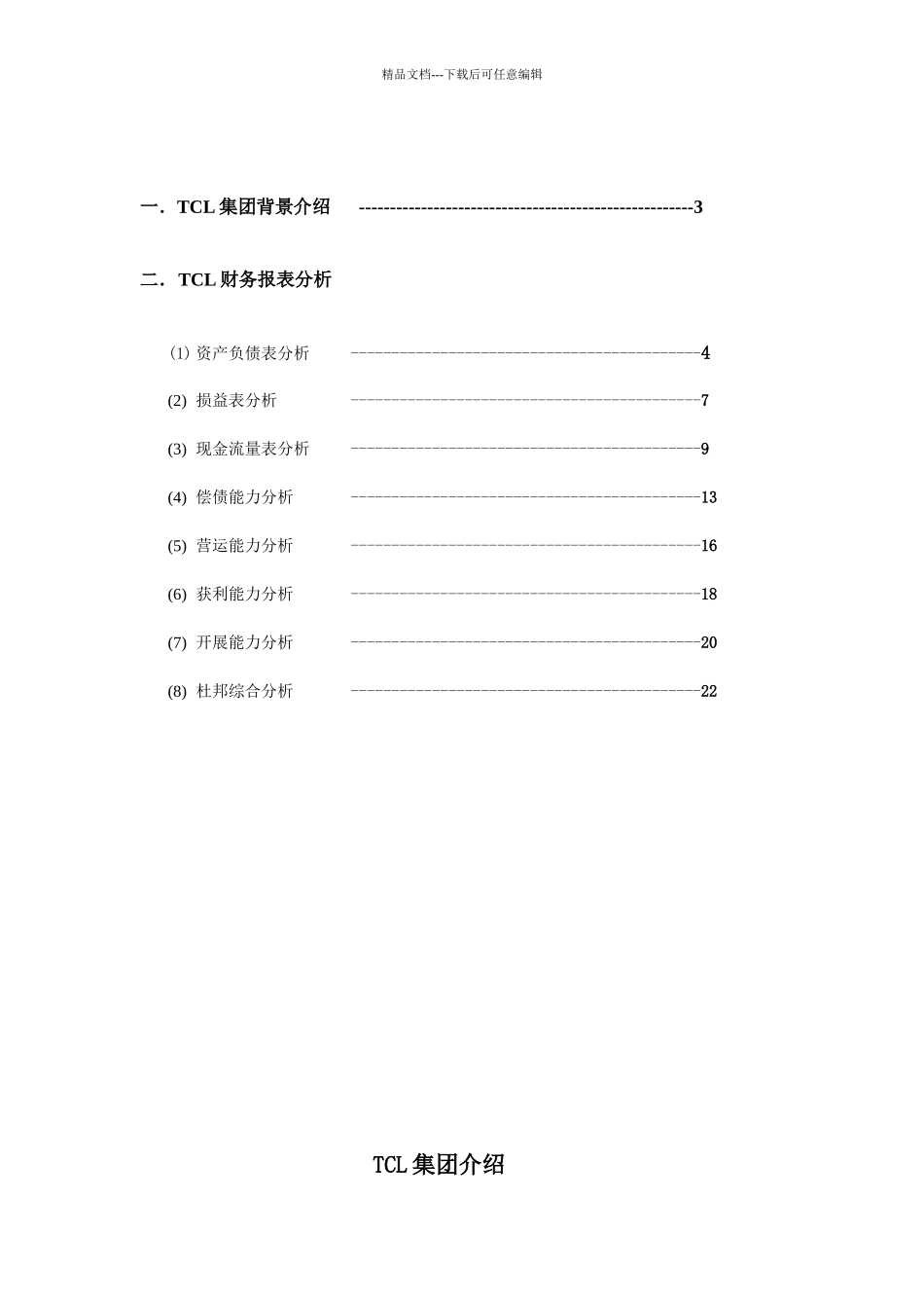 TCL集团财务报告分析_第2页
