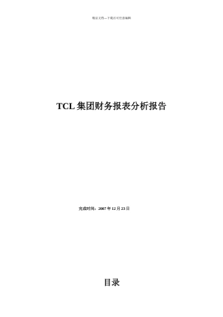 TCL集团财务报告分析