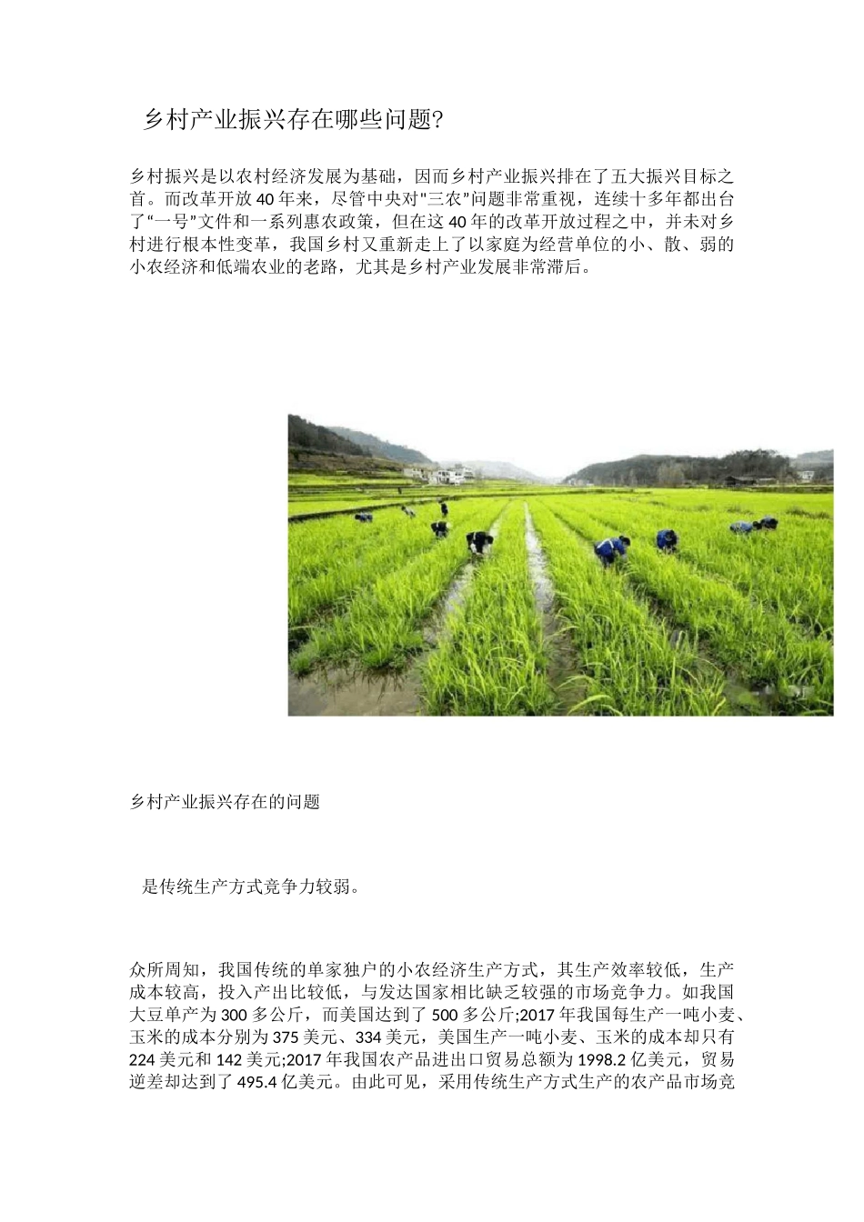 乡村产业振兴存在哪些问题_第1页