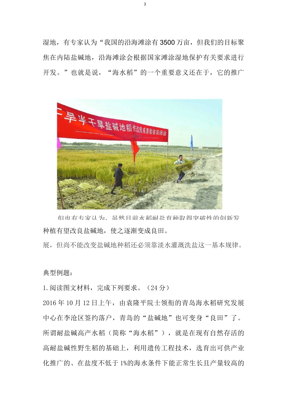 高考地理热点材料：海水稻_第3页