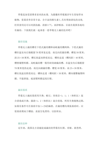 草莓无土栽培技术