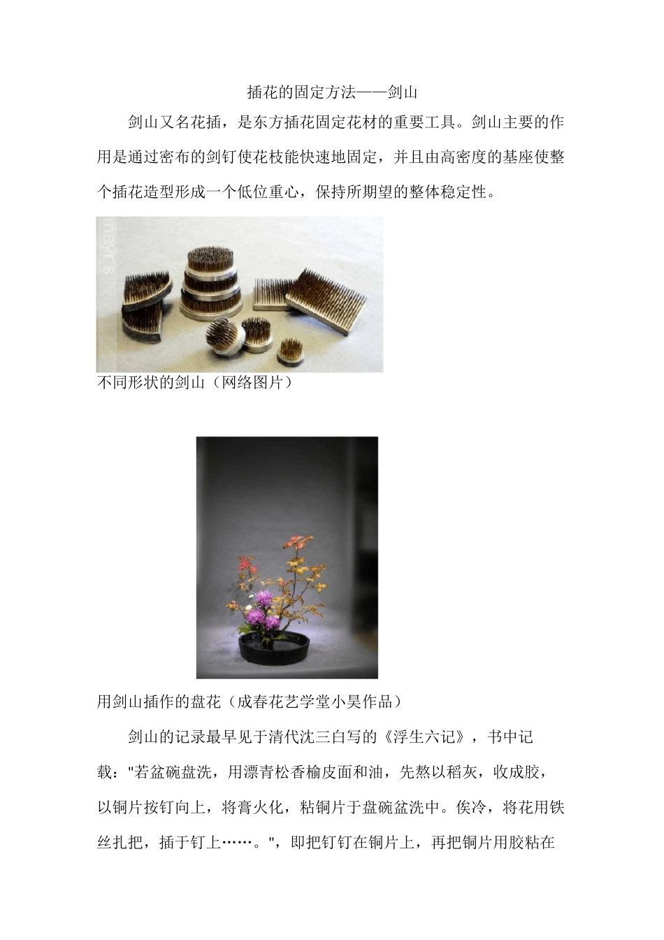 插花的固定方法——剑山_第1页