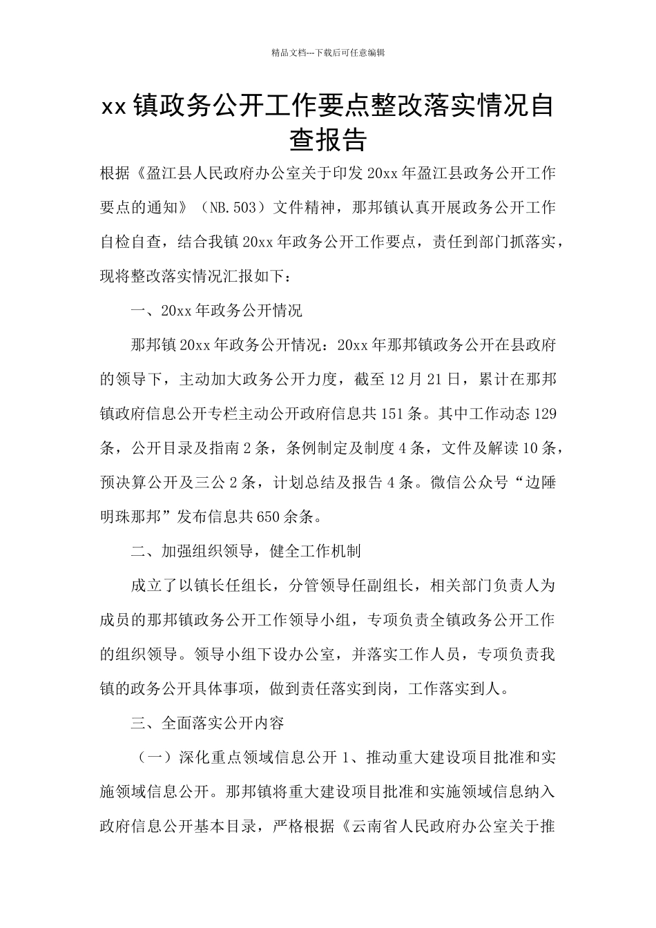 xx镇政务公开工作要点整改落实情况自查报告_第1页