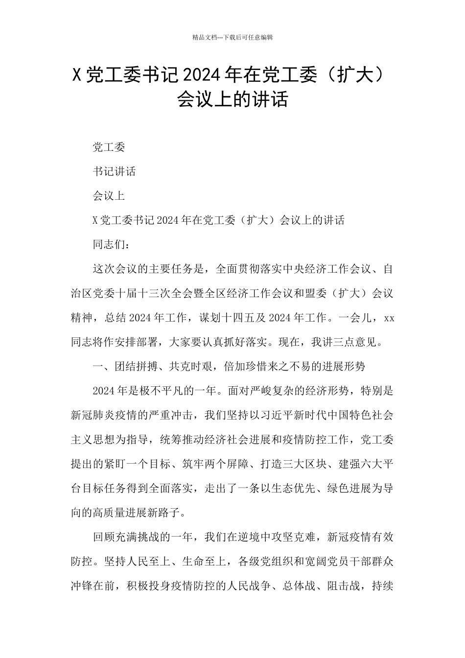 X党工委书记2024年在党工委会议上的讲话_第1页
