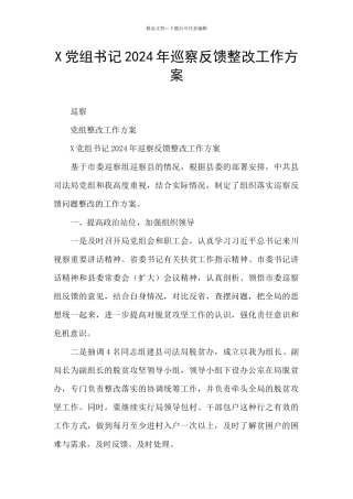 X党组书记2024年巡察反馈整改工作方案
