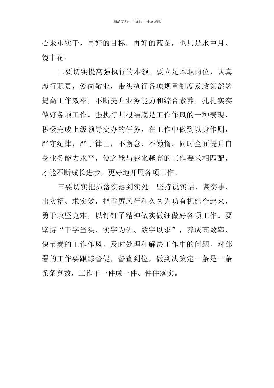 “重实干、强执行、抓落实”专题研讨材料_第2页