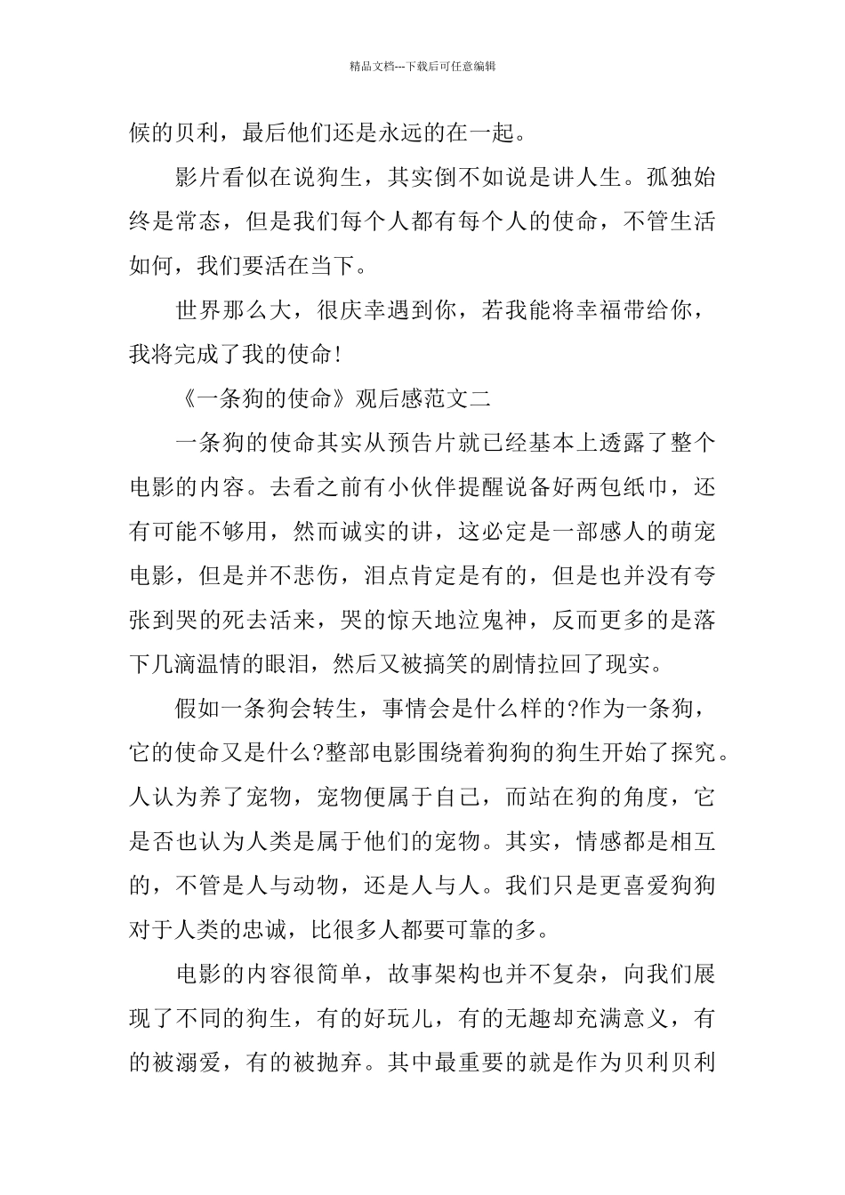 《一条狗的使命》观后感范文5篇400字_第2页