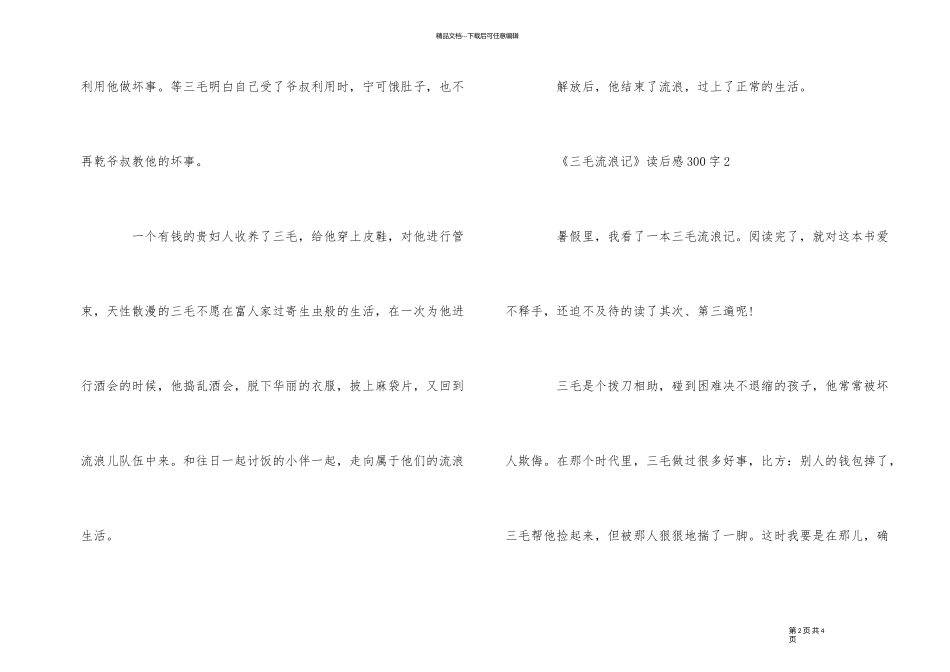 《三毛流浪记》读后感300字_第2页