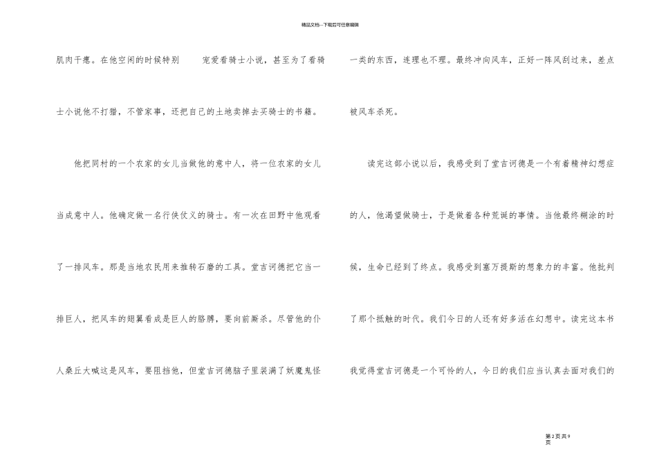 《堂吉诃德》中学生读后感_第2页
