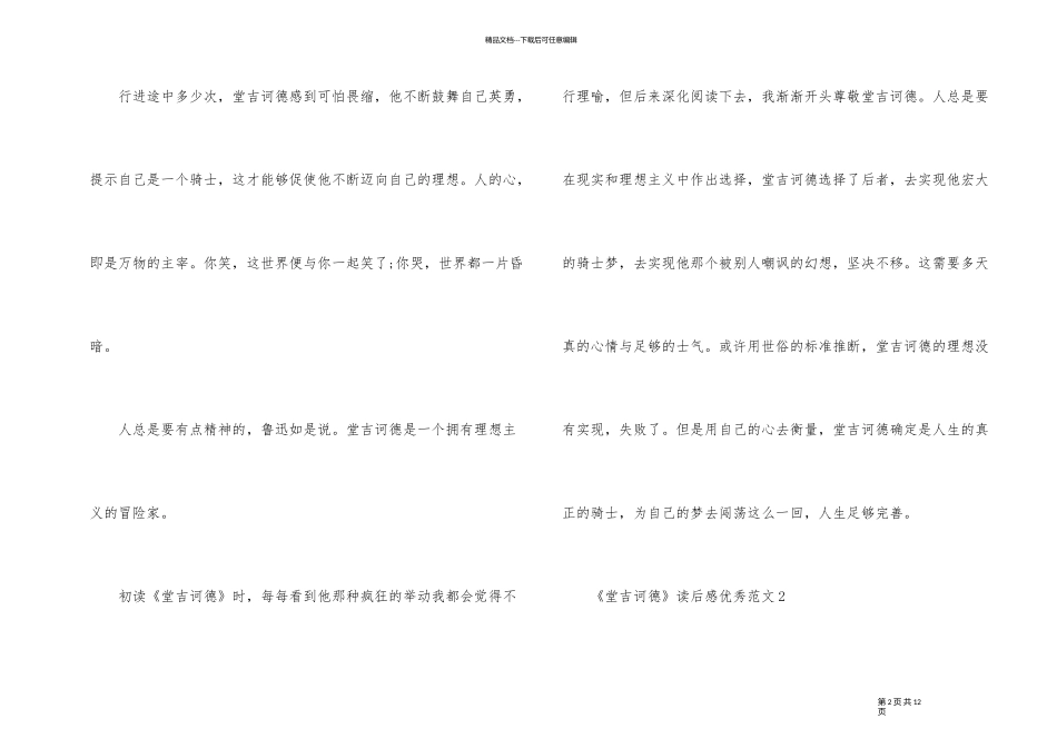 《堂吉诃德》读后感优秀_第2页