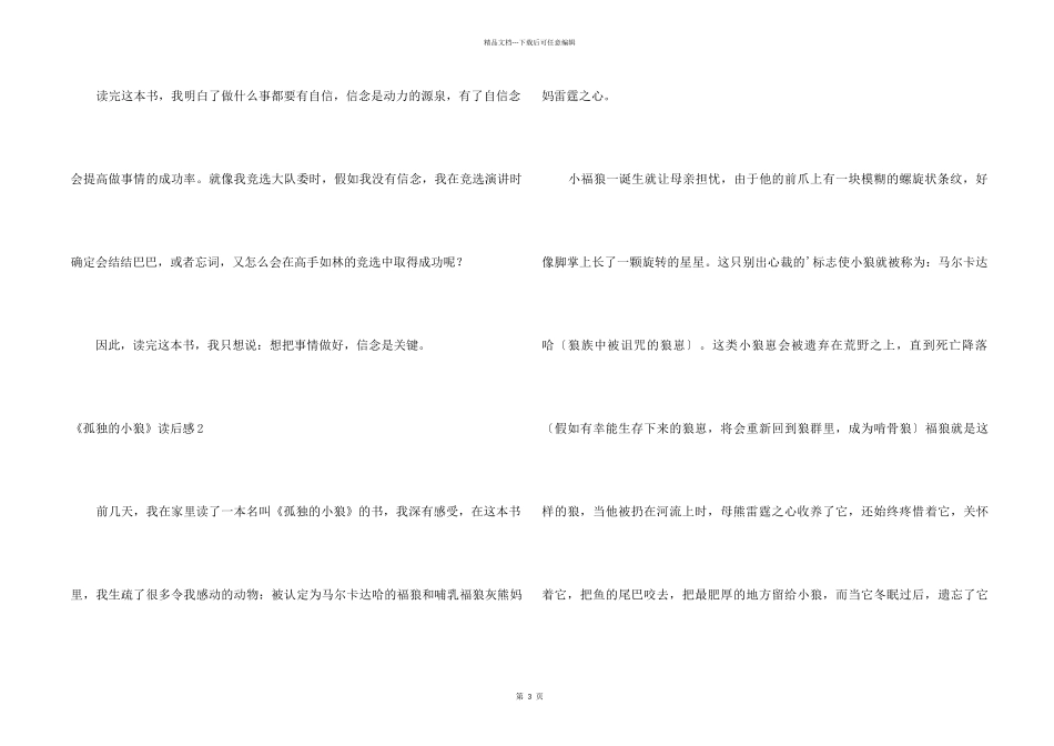 《孤独的小狼》读后感_第2页