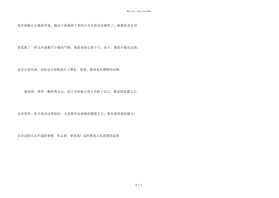 《孤独的小狼》读后感_第3页