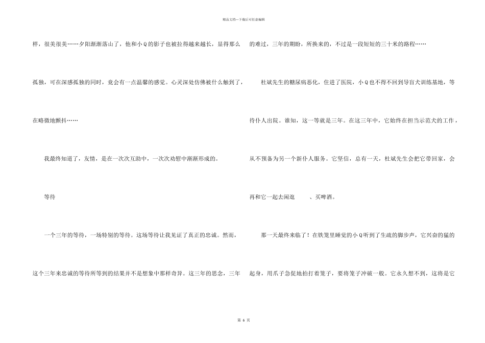 《导盲犬小Q》观后感3篇_第2页