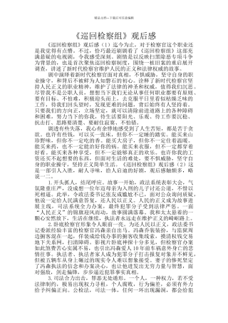 《巡回检察组》观后感