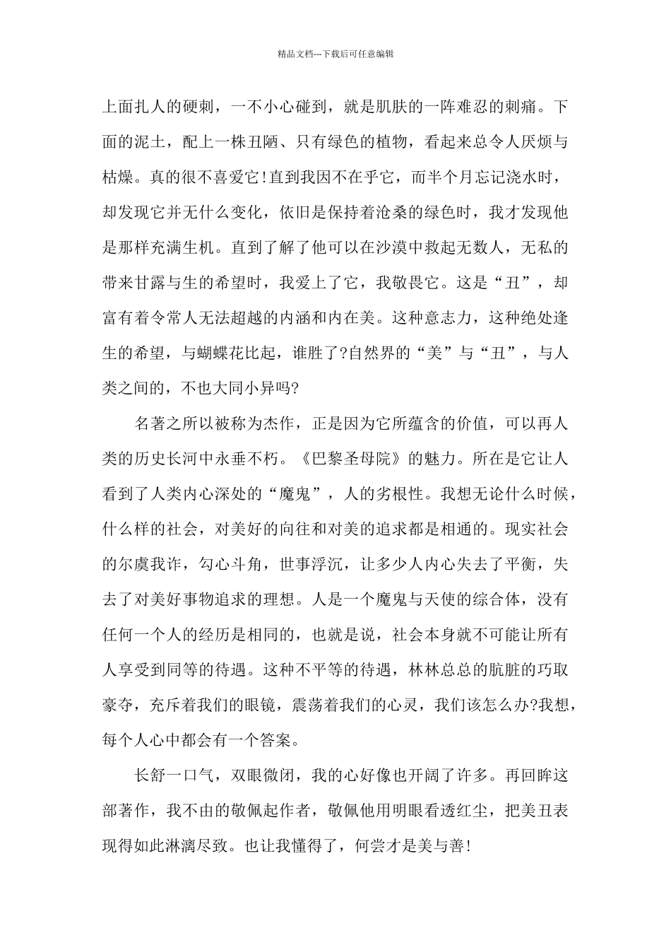 《巴黎圣母院》读后感_第3页