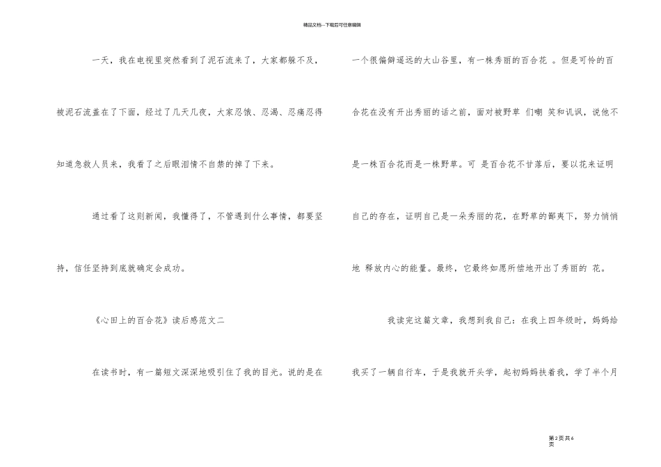 《心田上的百合花》读后感5篇300字_第2页
