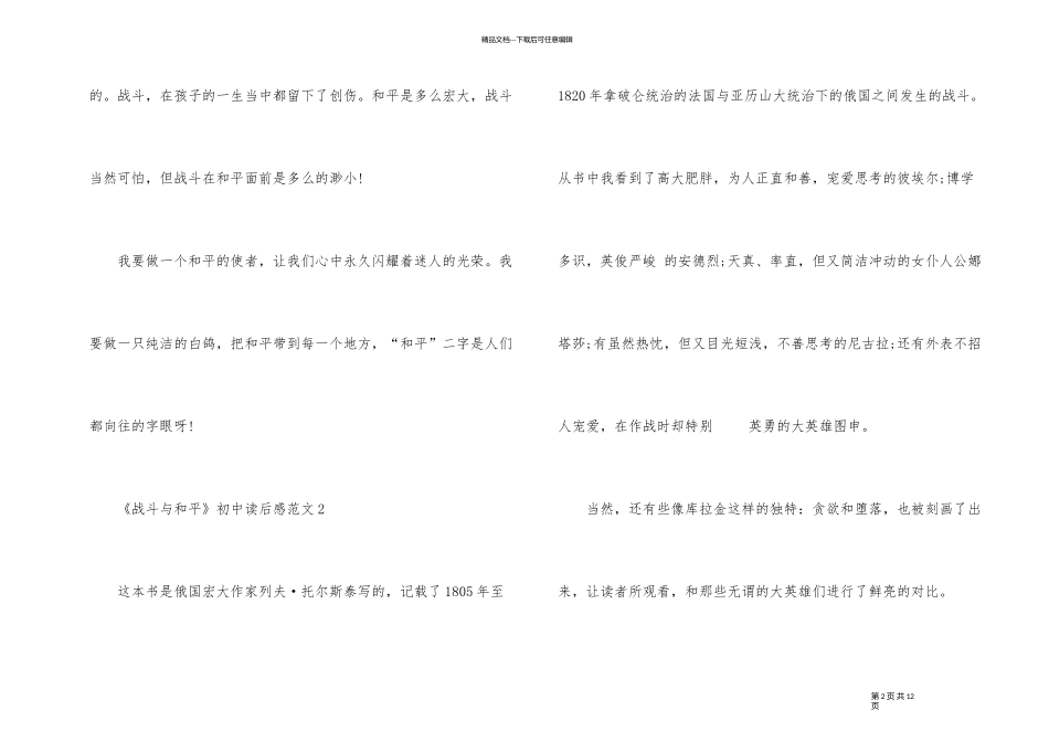 《战争与和平》初中读后感_第2页