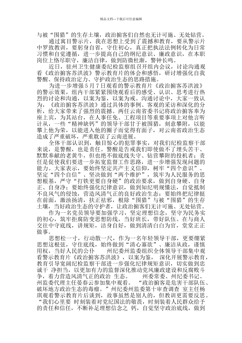 《政治掮客苏洪波》观后感(5篇)_第2页