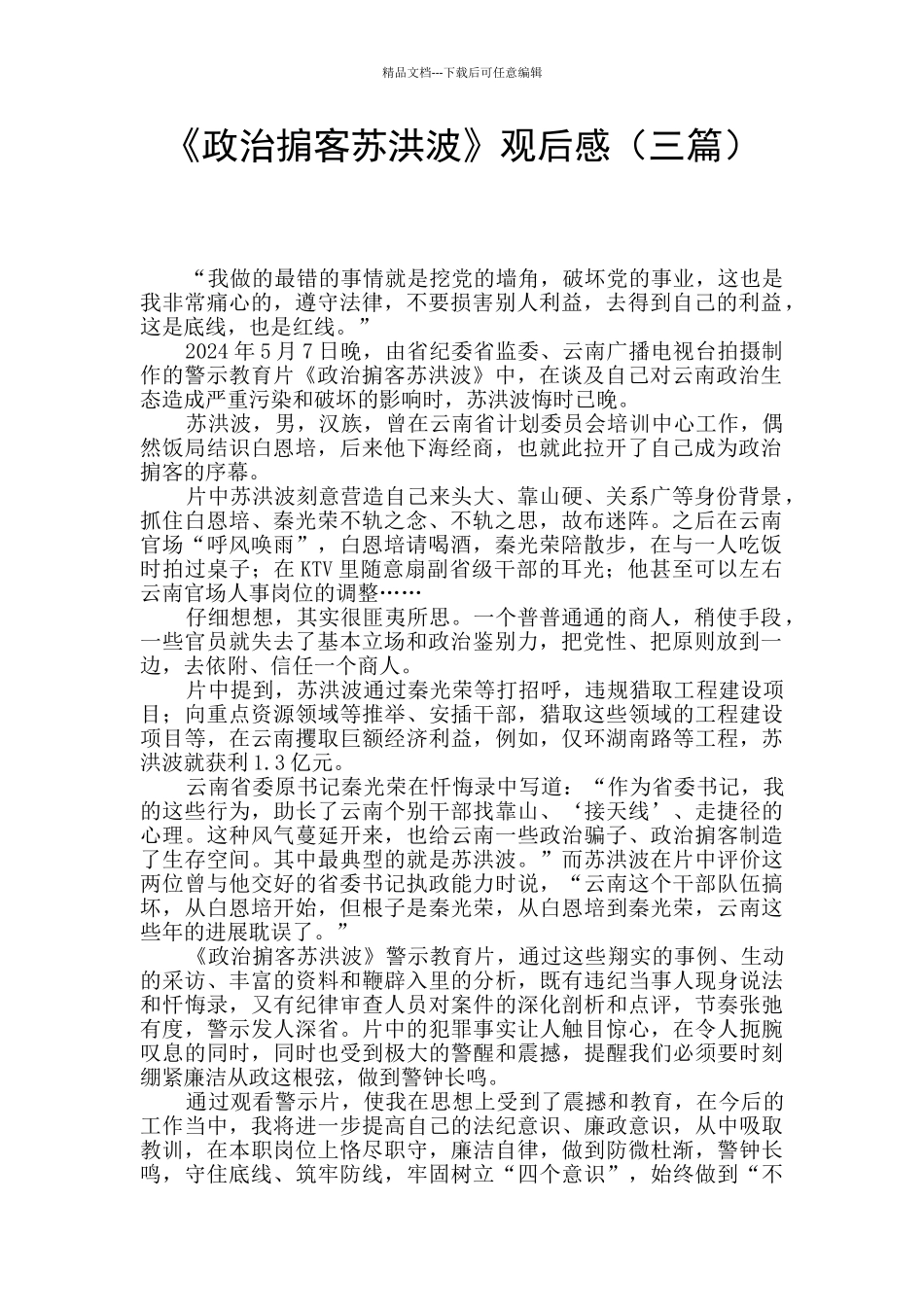 《政治掮客苏洪波》观后感_第1页