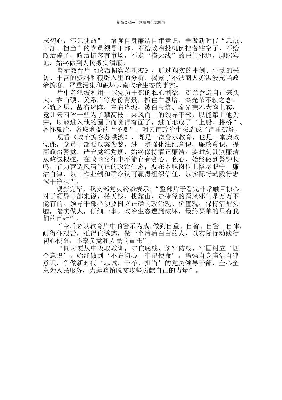 《政治掮客苏洪波》观后感_第2页