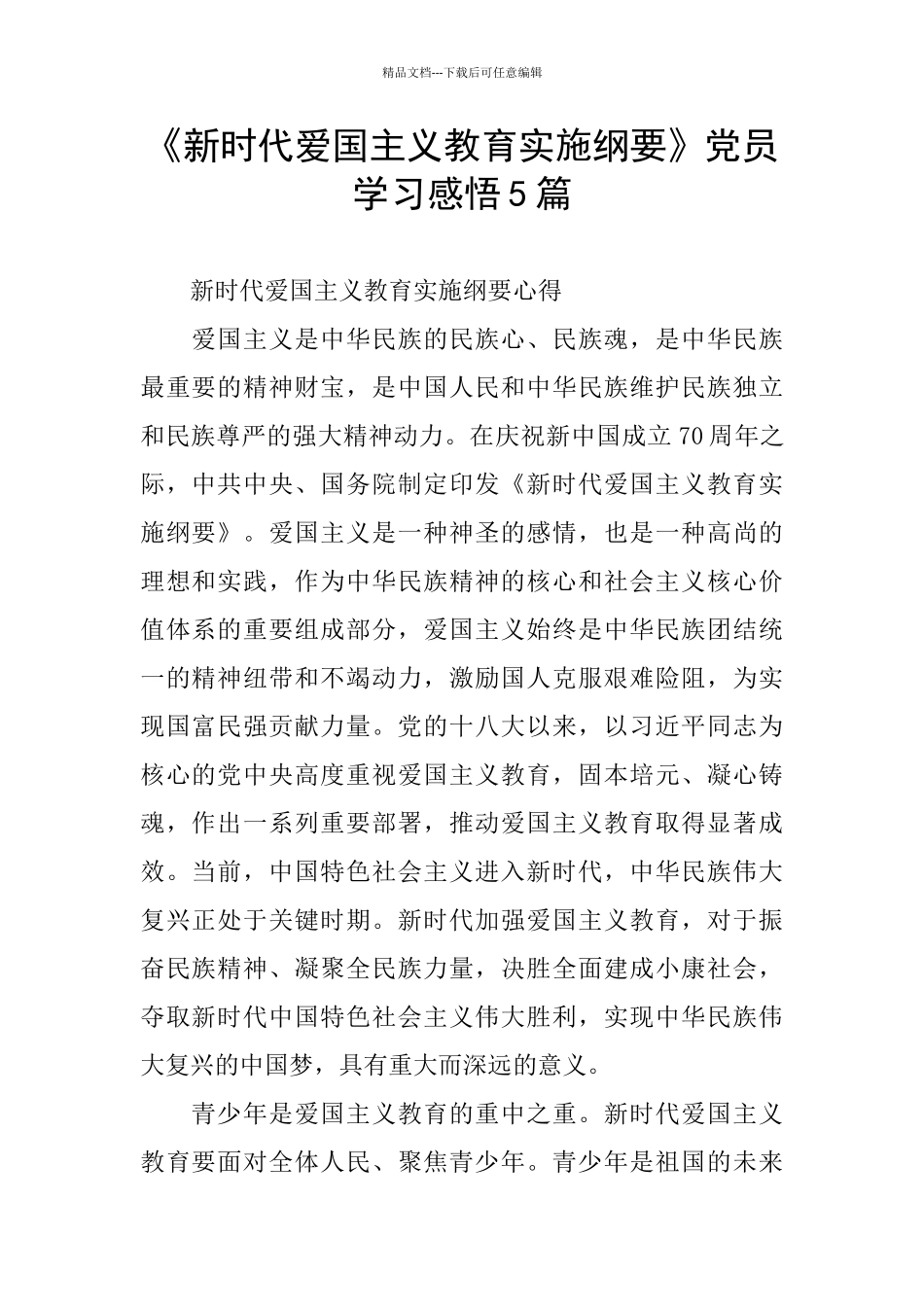 《新时代爱国主义教育实施纲要》党员学习感悟5篇_第1页
