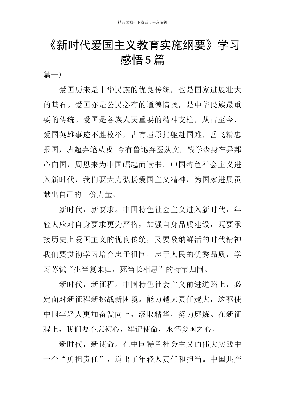 《新时代爱国主义教育实施纲要》学习感悟5篇_第1页