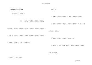 《有趣的叶子》中班教案