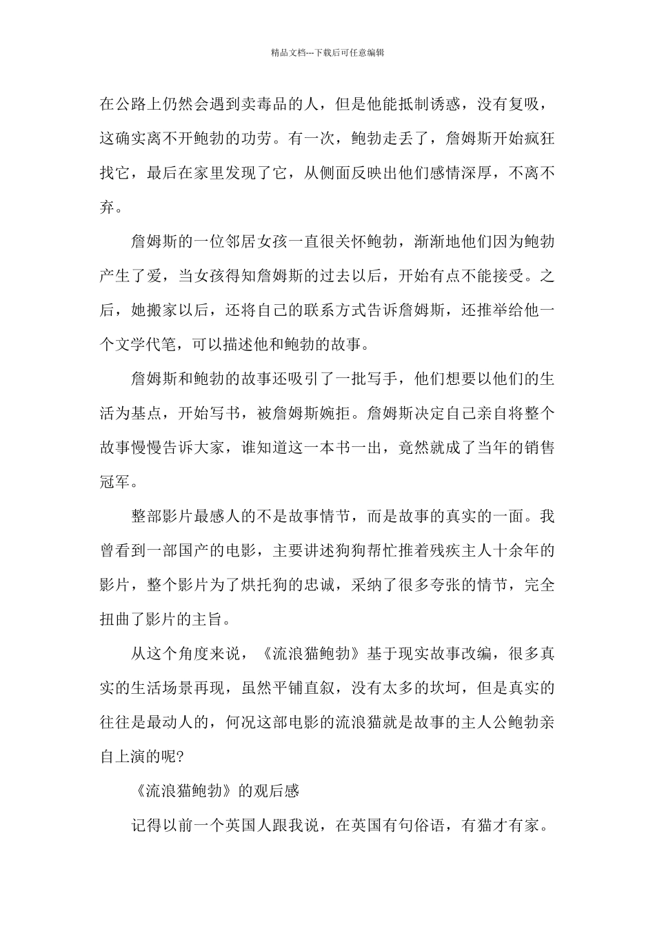 《流浪猫鲍勃》的观后感_第3页