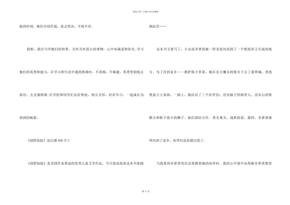 《绿野仙踪》小学生读后感400字_第2页