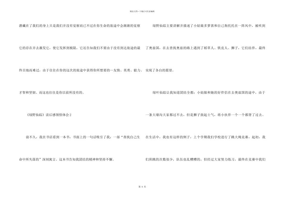 《绿野仙踪》读后感领悟体会六篇_第2页