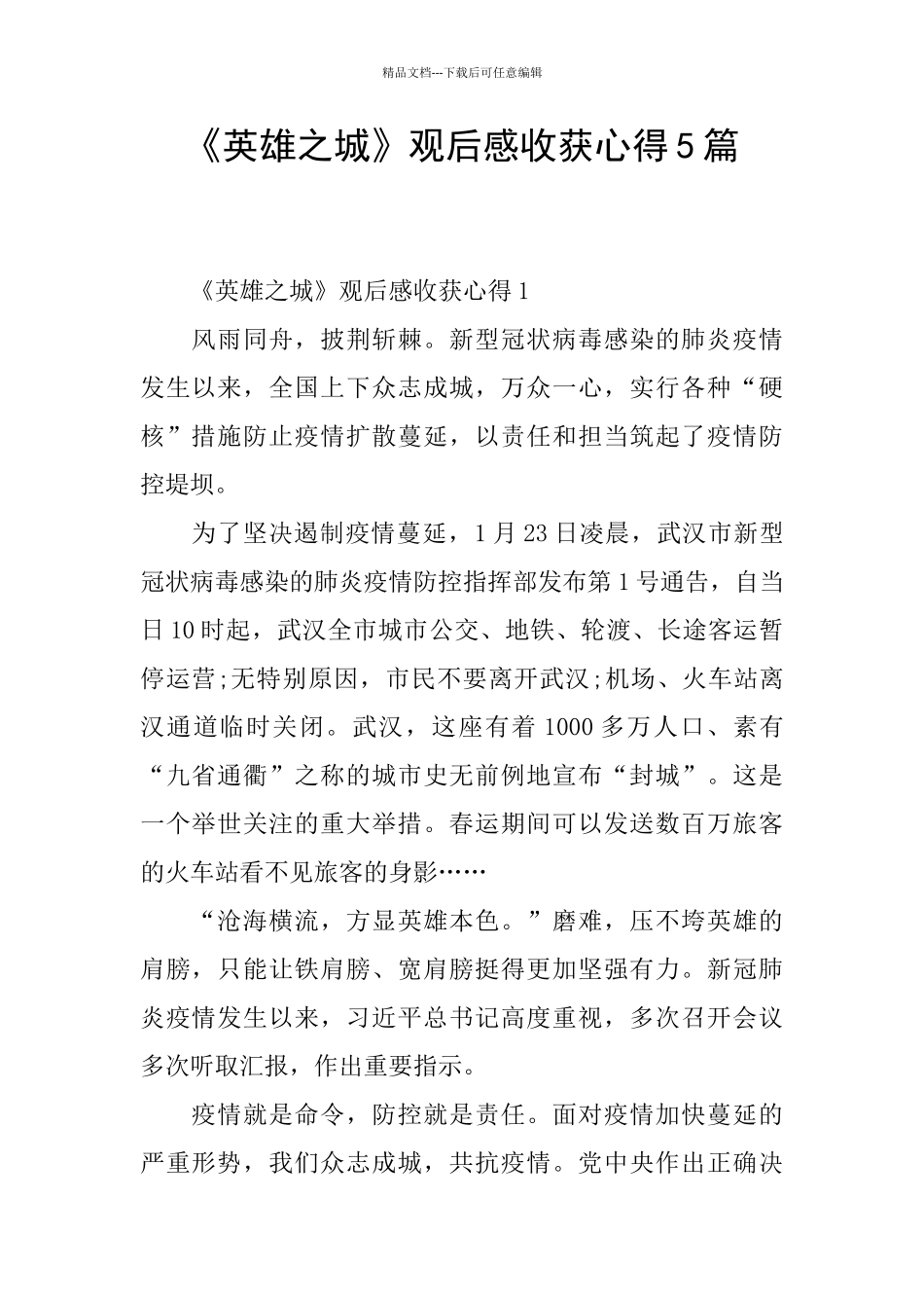 《英雄之城》观后感收获心得5篇_第1页