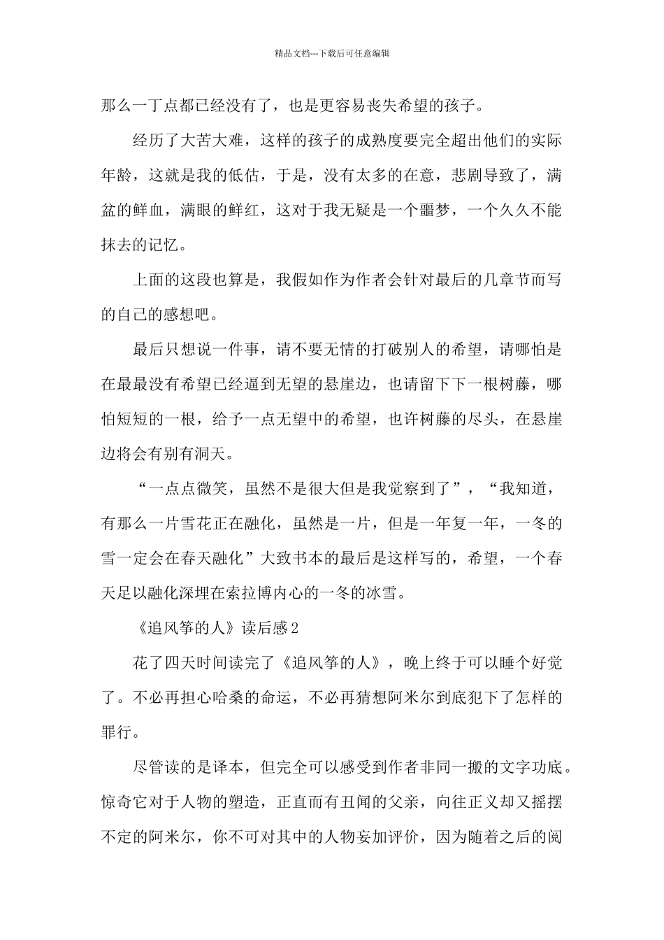 《追风筝的人》读后感优秀范文_第2页