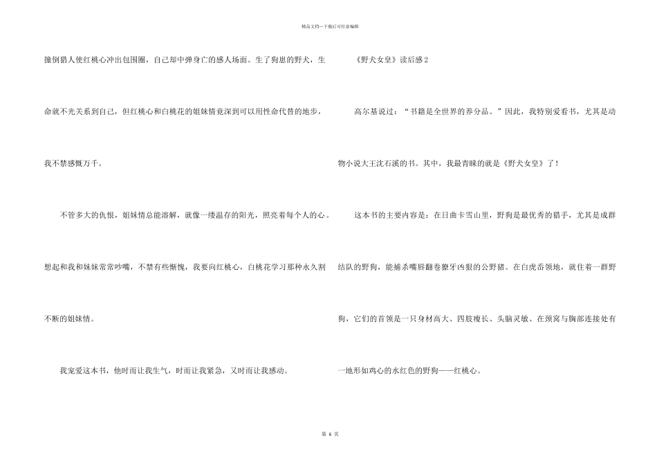 《野犬女皇》读后感（7篇）_第2页