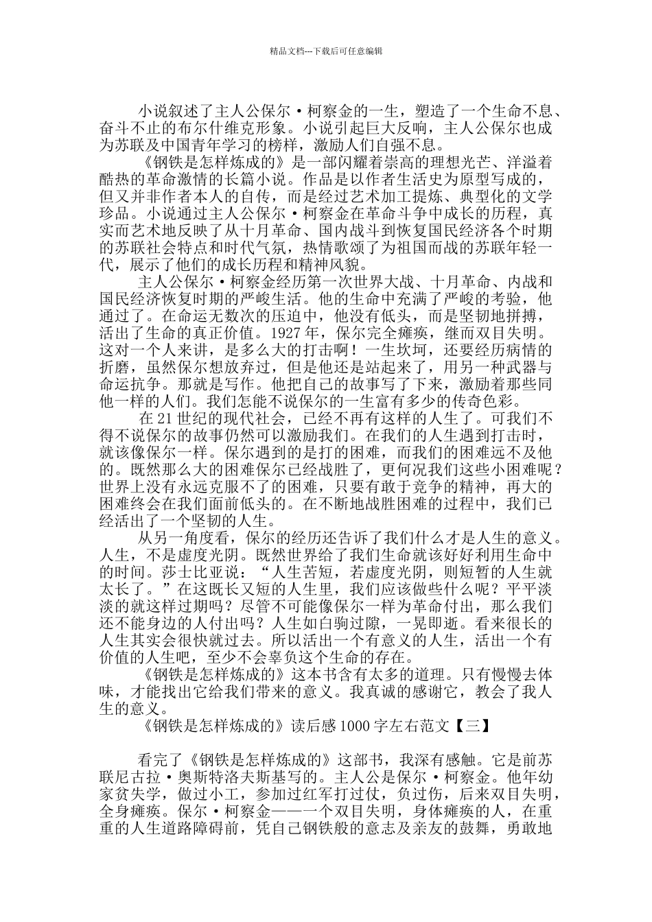 《钢铁是怎样炼成的》读后感1000字左右范文_第2页