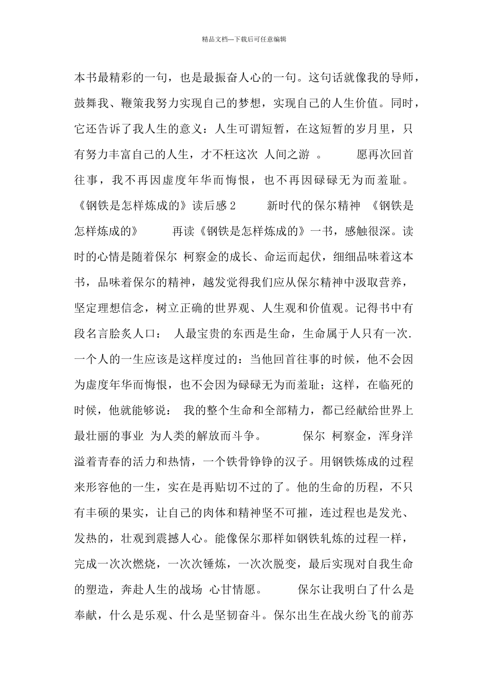《钢铁是怎样炼成的》读后感5篇_第2页