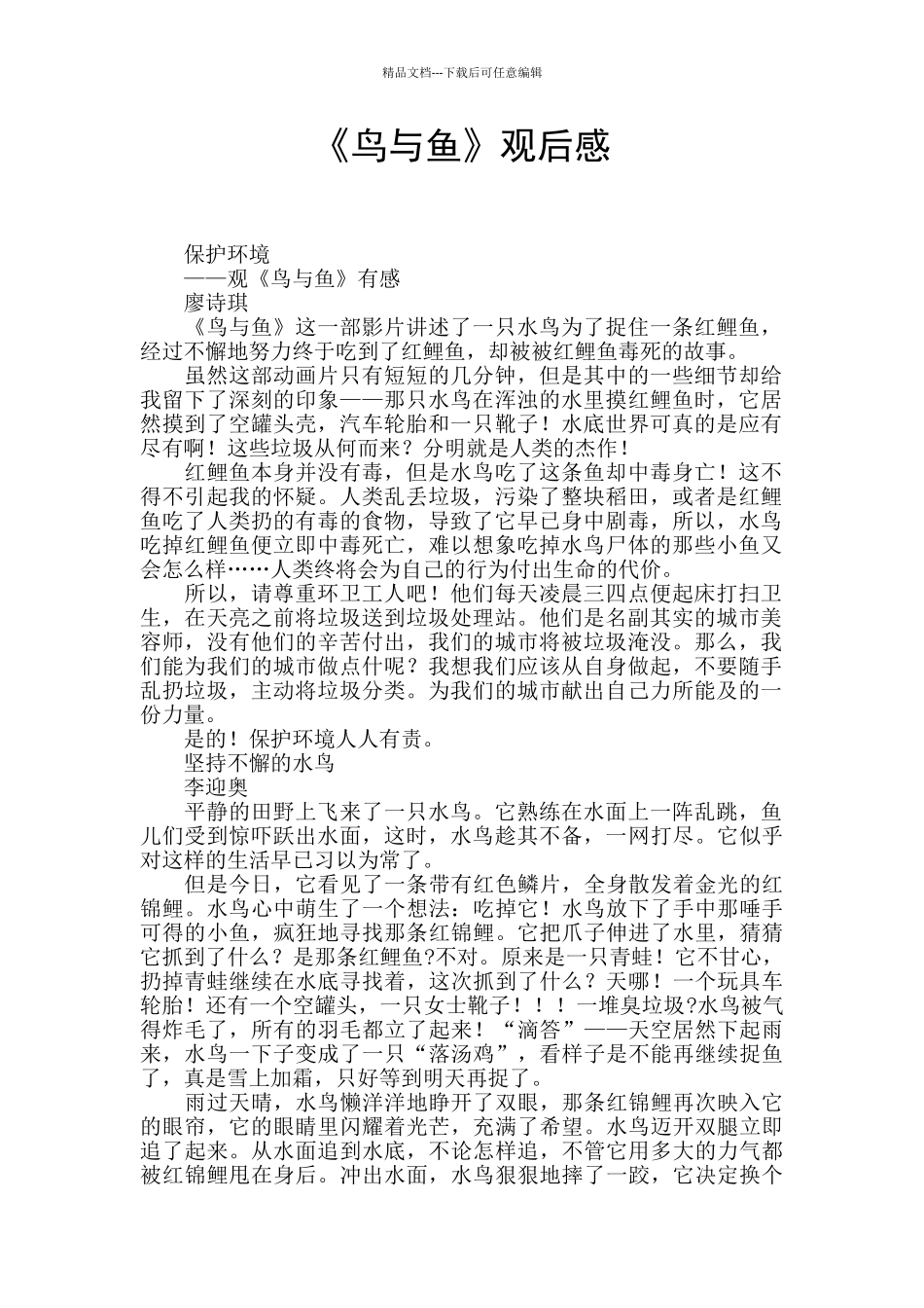 《鸟与鱼》观后感_第1页