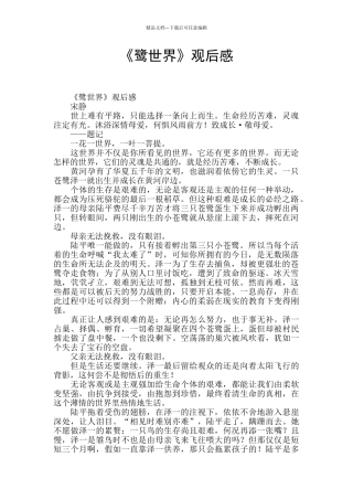 《鹭世界》观后感