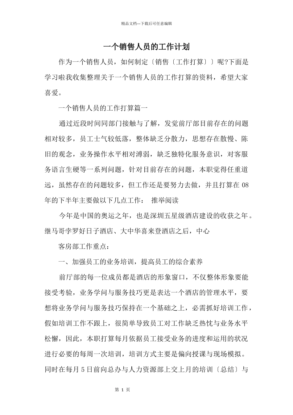 一个销售人员的工作计划_第1页