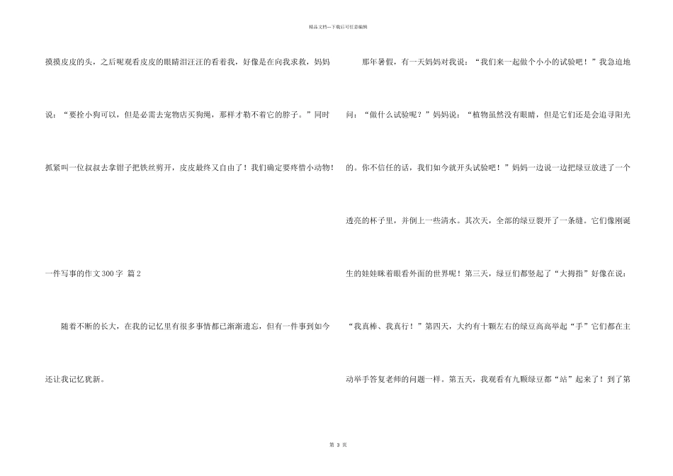 一件写事的300字3篇_第2页