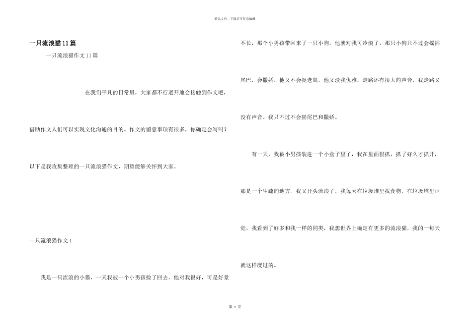 一只流浪猫11篇_第1页