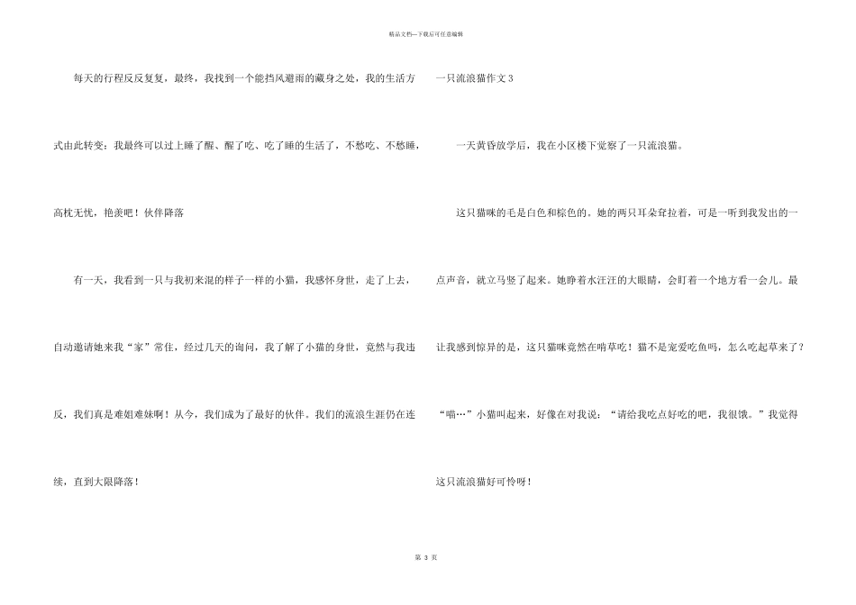 一只流浪猫11篇_第3页
