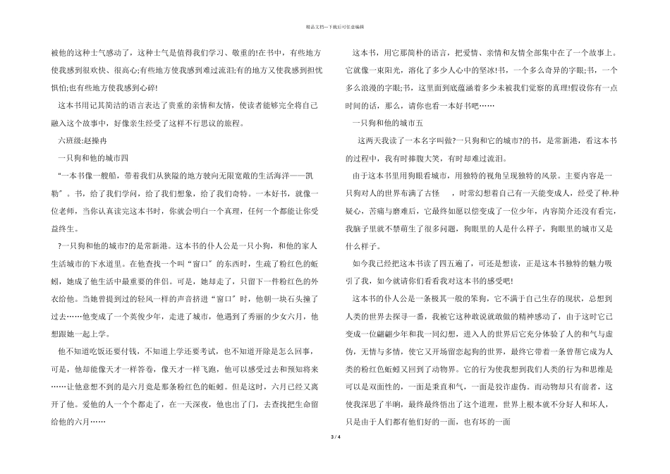 一只狗和他的城市读后感500字_第3页