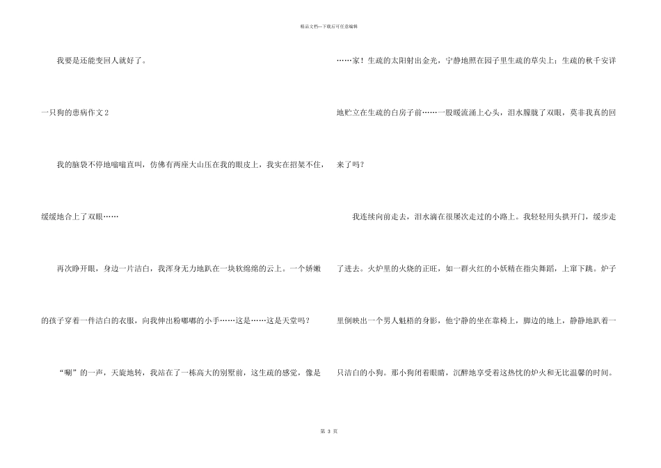 一只狗的遭遇_第3页