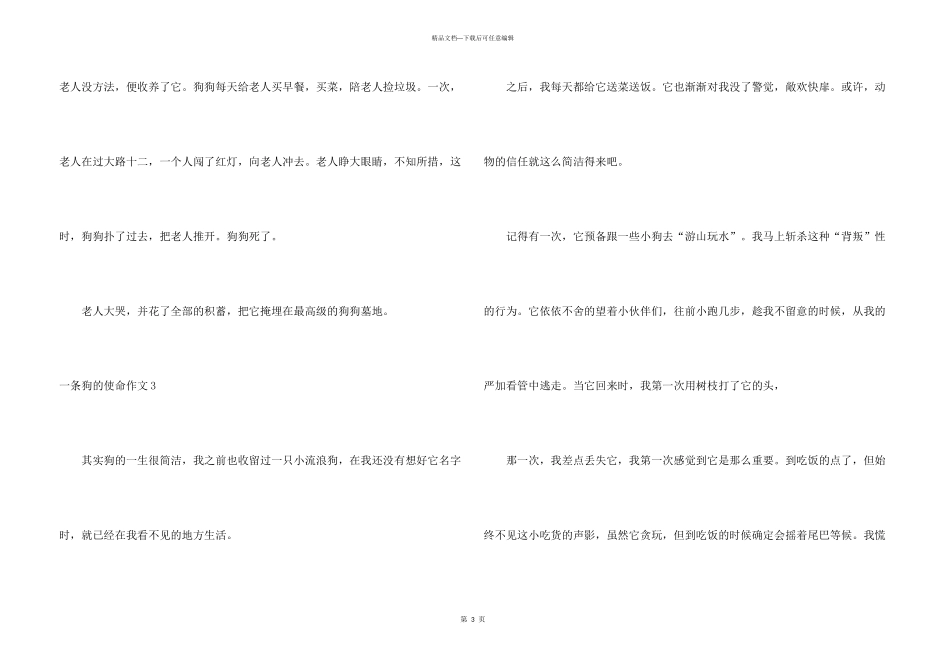 一条狗的使命_第3页