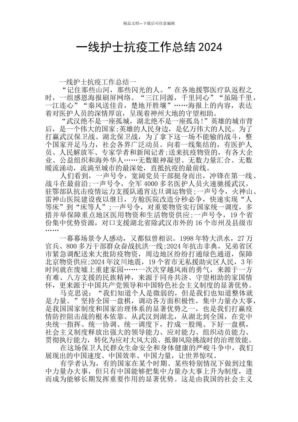 一线护士抗疫工作总结2024_第1页